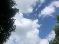 -江南天池