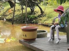 -洪湖家庭农场·团建·露营·会议