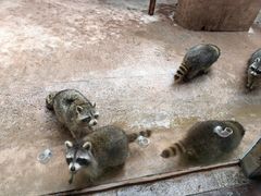 -杭州野生动物世界