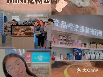广州探店｜宠有家MINI宠物公园