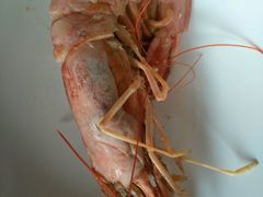 -淄博蓝海国际大饭店·蓝钻国际美食自助百汇(柳泉路店)