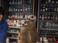 -villaa·别墅·融合菜西餐厅