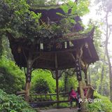 成都市都江堰市青城山景区打卡攻略