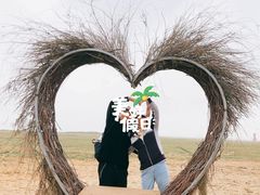 -红碱淖景区