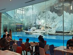 -帝企鹅自助餐厅•儿童岛•真企鹅(长隆企鹅酒店)