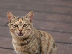 -UNIUNI(凯瑟琳广场店)