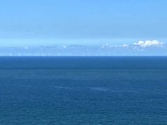 -阿弟特色海鲜餐厅·大排档(平潭店)