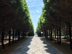 -秦始皇帝陵博物院-丽山园