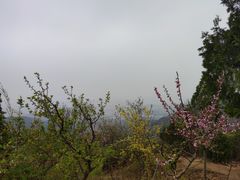 -红螺寺