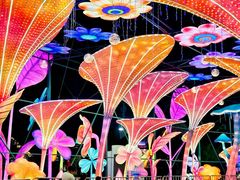 -第35届青岛国际啤酒节