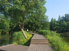 -西溪国家湿地公园