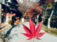-三千院