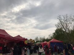 -秀丽东方