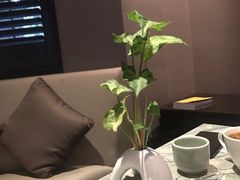 -萬國春·中菜馆(颐和公馆店)