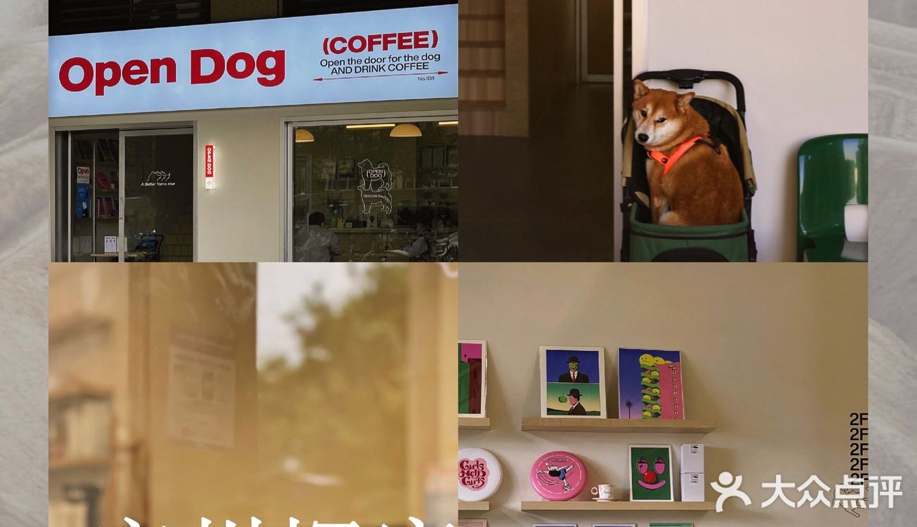 广州新店|开门放狗喝咖啡.芳村可爱好啡店