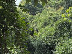 -杭州半山国家森林公园