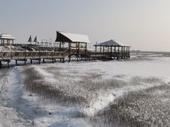 -红海滩国家风景廊道