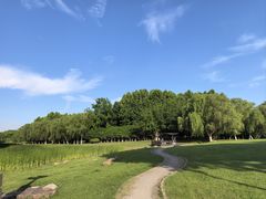 -滨湖塘西河公园