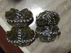 -喜洋洋蟹庄(阳澄湖店)