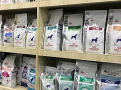 -佩兹宠物医院肿瘤专科·眼科·牙科(黄浦店)