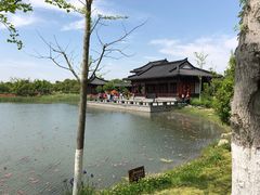 -东台西溪天仙缘景区
