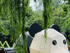 -青龙湖公园