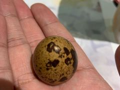 -炖物24章·顺时轻养茶(杭州保利时光里店)