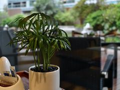 -前海华侨城JW万豪酒店·都会尚膳自助餐厅·熟成牛排海鲜酒水畅飨