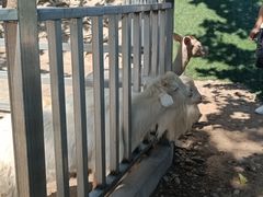 -北京鹿世界主题园