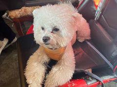 -E+有冰工厂·昆仑寒宫2(五角场店)