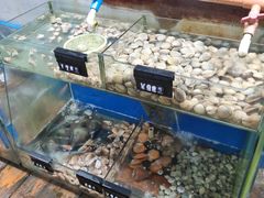 -蓝湾碧波·老字号·疍家非遗海上餐厅