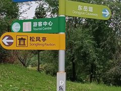 -东岳体育公园
