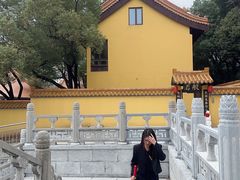 -太子山公园(园东路)