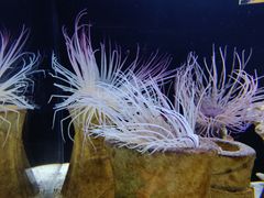 -沈阳海洋探索中心