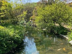 -白马涧龙池景区
