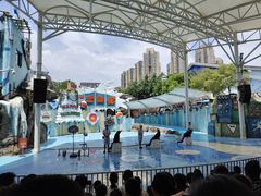 -海合安成都极地海洋公园