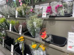 -鹿岛生活(熙地港店)