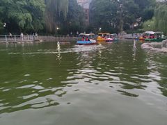 -莲湖公园