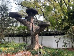 -汇龙潭