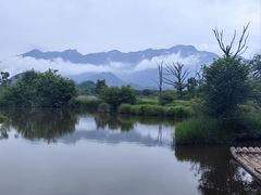 -大九湖