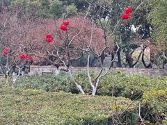 -常州古运河南大街文化旅游区-人民公园