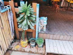 -半坡九号老挝冰咖啡