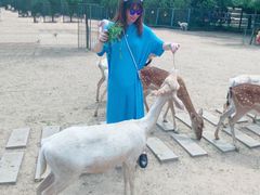 -北京麋鹿生态实验中心
