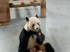 -无锡动物园·太湖欢乐园