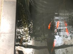 -旅马餐厅(茅家埠店)