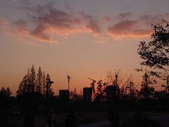 -上海植物园-4号门售票处