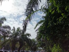 -三亚南山文化旅游区