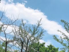 -同里国家湿地公园