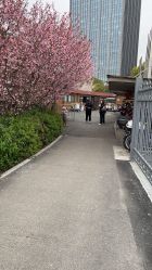 -七色田儿童摄影(静安店)