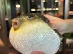 -肆月河豚·淮扬菜·湘菜(华天店)